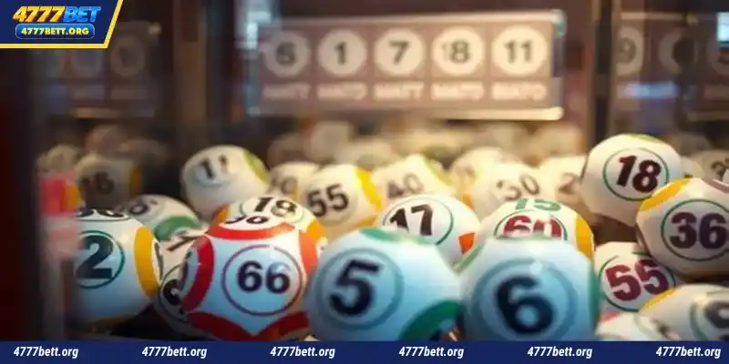 4777Bet is a reputable online lottery and betting platform