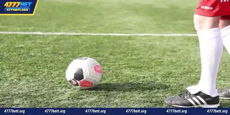 4777Bet, the leading bookmaker in 2026