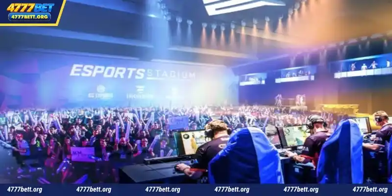 Top sports betting site 4777Bet you should know
