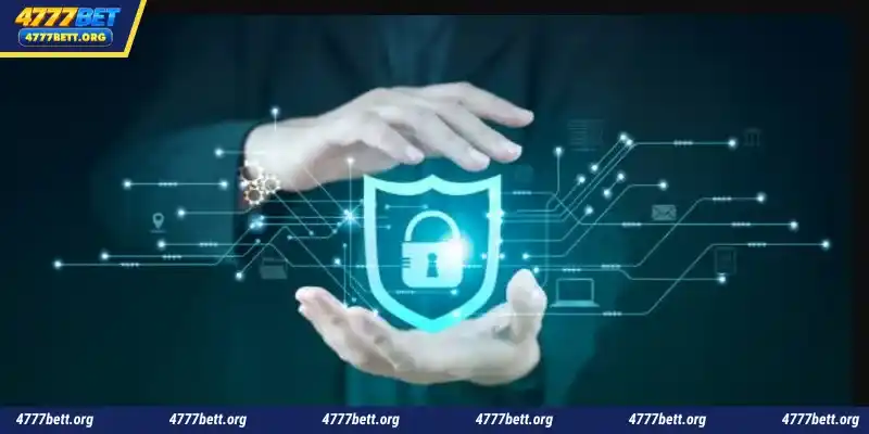 Terms and Conditions - 4777Bet is a reputable bookmaker for you